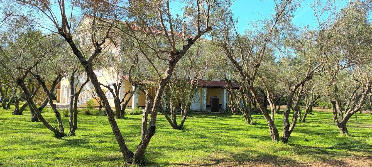 Antonios Olive Garden Acharavi Kerkyra Apartman Kültér fotó
