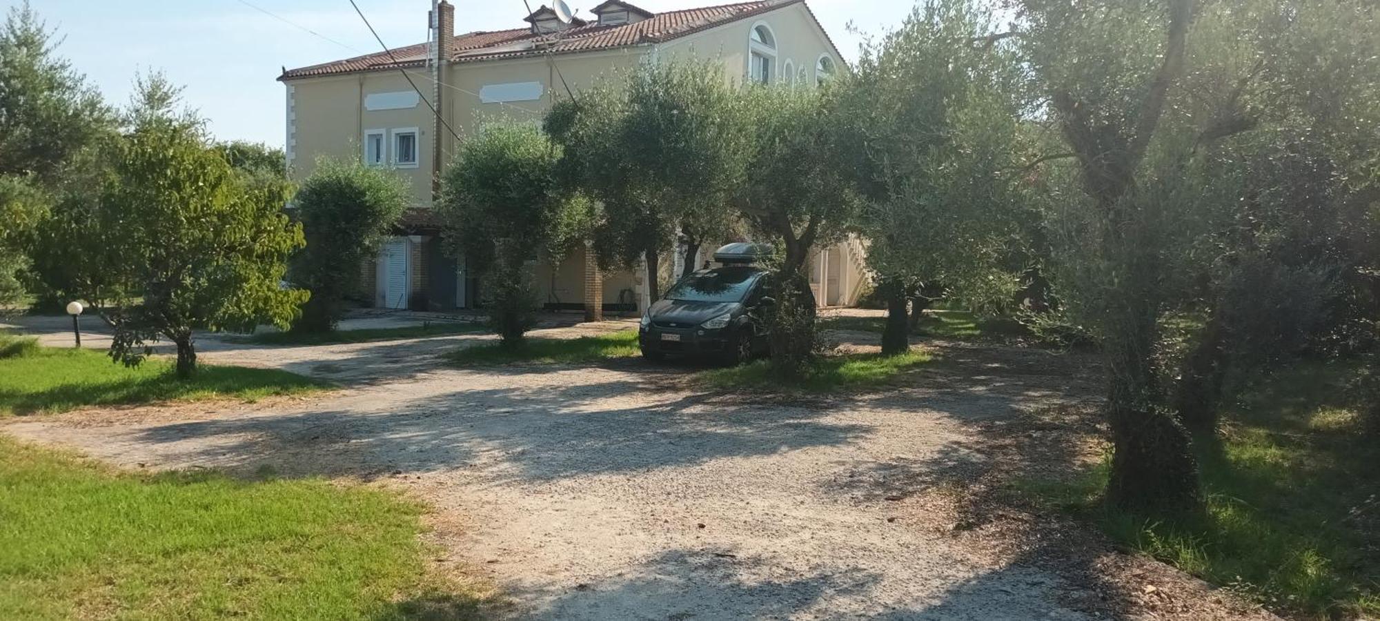 Antonios Olive Garden Acharavi Kerkyra Apartman Kültér fotó